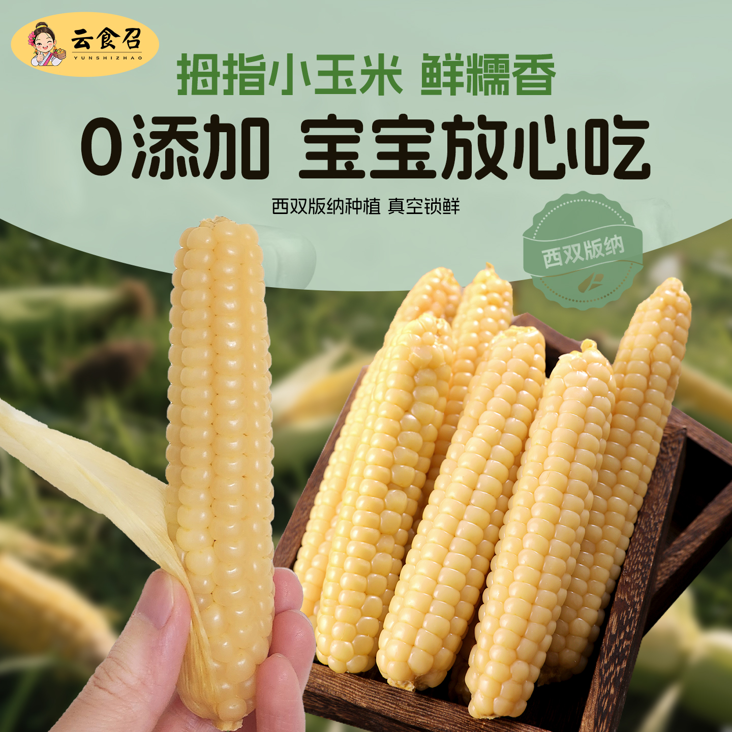 宝宝爱吃拇指小玉米香甜软糯