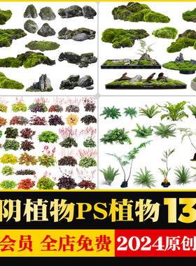 园林景观植物蕨类石头苔藓矾根苔藓花镜地被ps素材psd免扣源文件