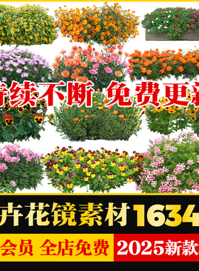 园林景观花卉植物procreate花镜花坛效果图PNG免抠带名称PS素材库