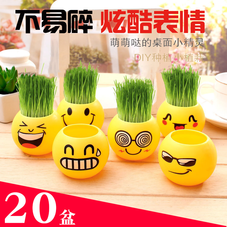 小朋友奖品创意可爱盆栽全班奖励