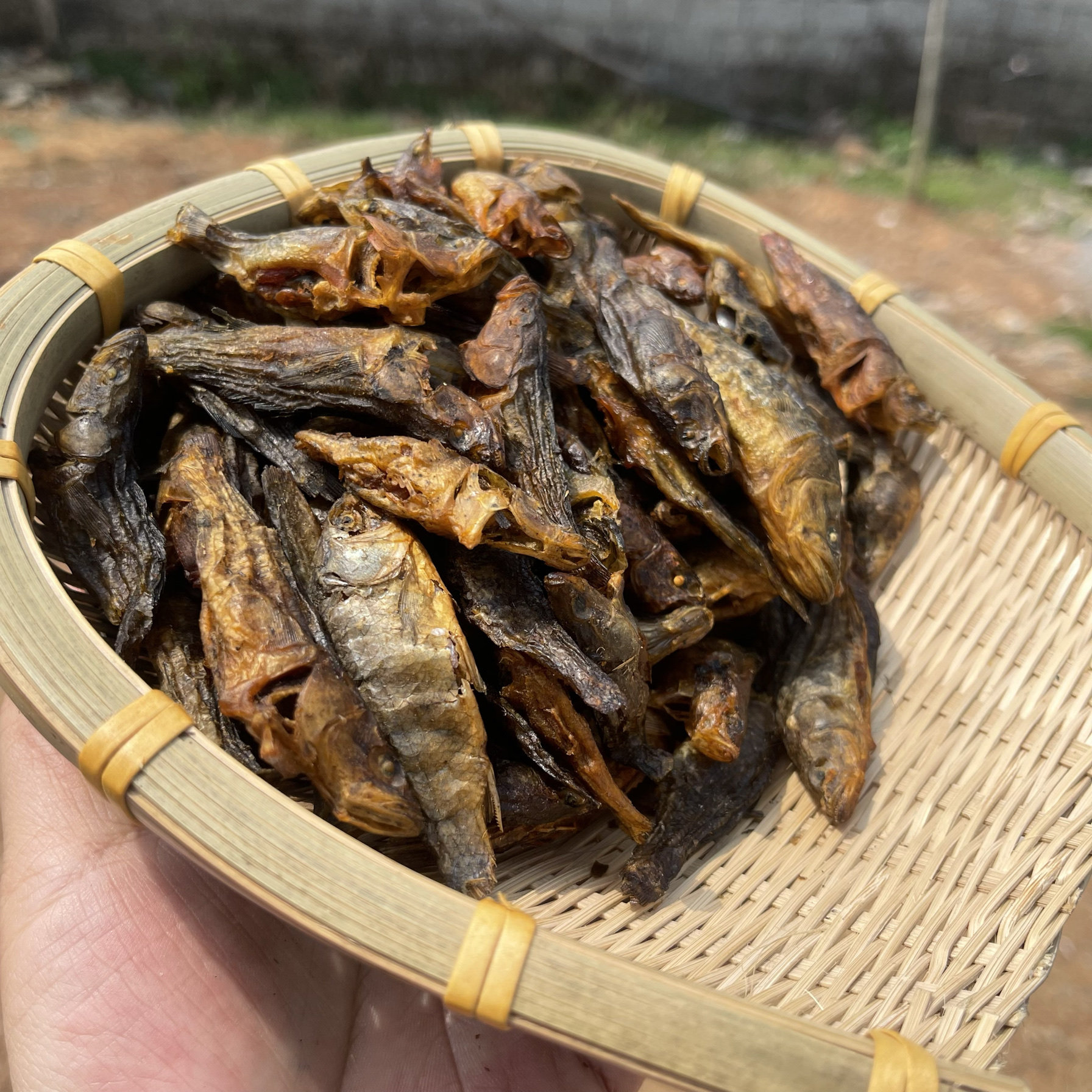 广西桂林农家自制老头鱼干小鱼干鱼干
