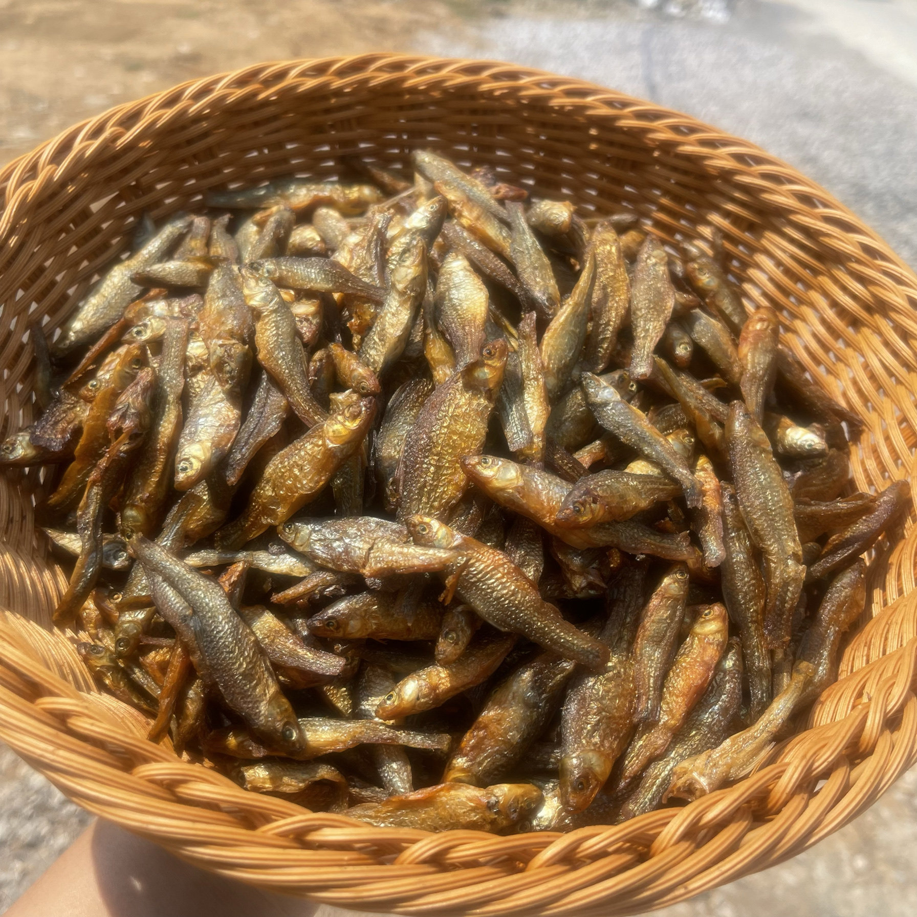 广西农家自制小河水库麦穗鱼火赔小鱼干干鱼仔淡水嫩子鱼水产干货