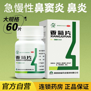 东泰香菊片60片香菊片慢性鼻炎鼻窦炎儿童成人官方正品旗舰店