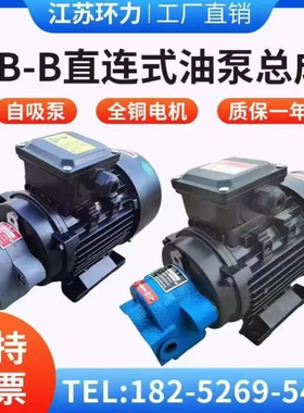 齿轮泵CB-B6/B10/B4/B2.5 液压油泵电机组370W/550W/750W循环油泵