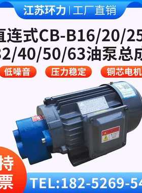 TCBW-B16/B20/B25/B32直插齿轮油泵电机CBW-16/25/32/40润滑泵