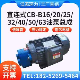 B25 B32直插齿轮油泵电机CBW TCBW B20 40润滑泵 B16
