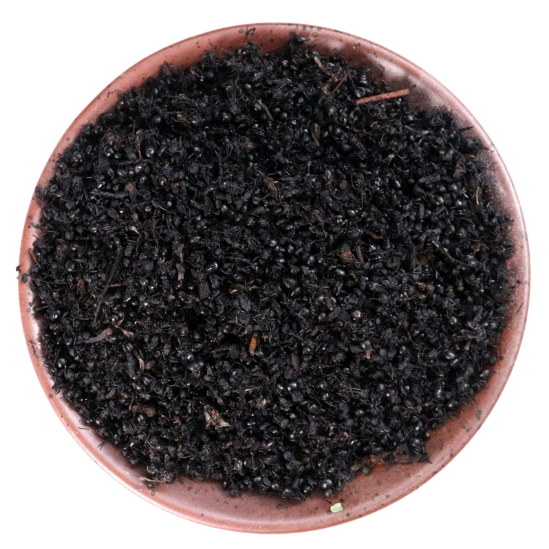 中药材生黑蚂蚁 干货蚂蚁 拟黑多刺黑蚂蚁 50克药用泡酒