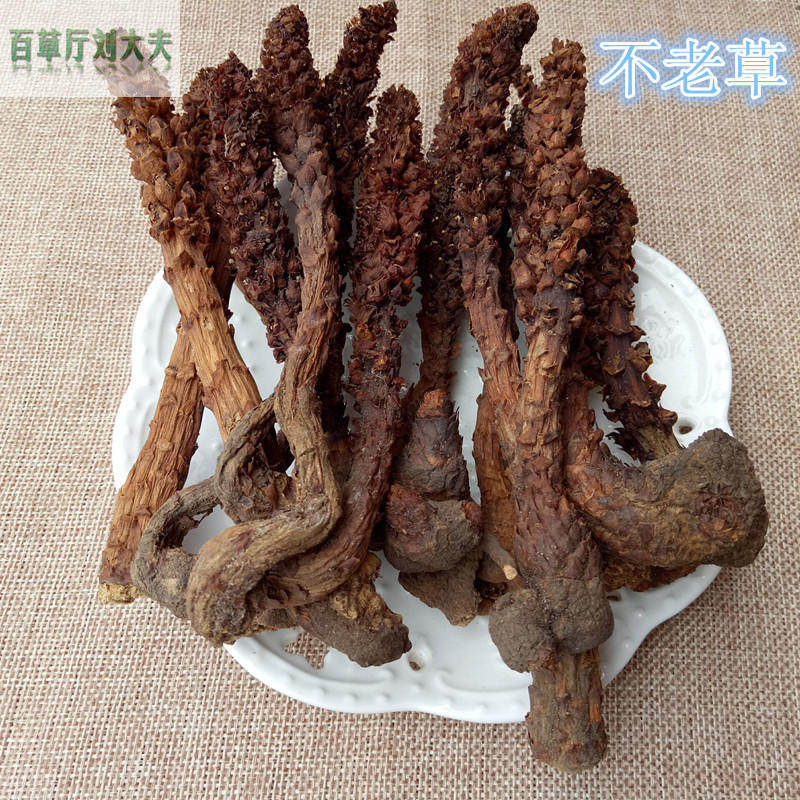 中药材 不老草 正品新货草苁蓉整颗列当泡酒药用食用10克