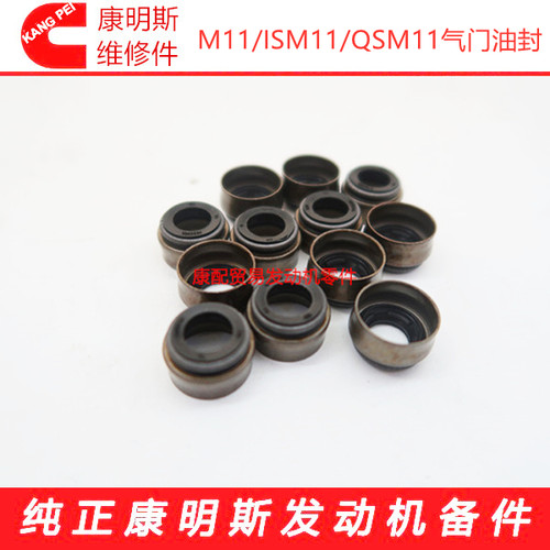 Xian cummins QSM11/ISM11 engine valve oil seal valve4003966