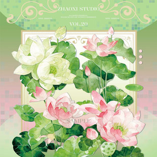 满18包邮朝夕手账夏荷映色贝壳光分装特材拼贴贝壳光流麻手帐胶带