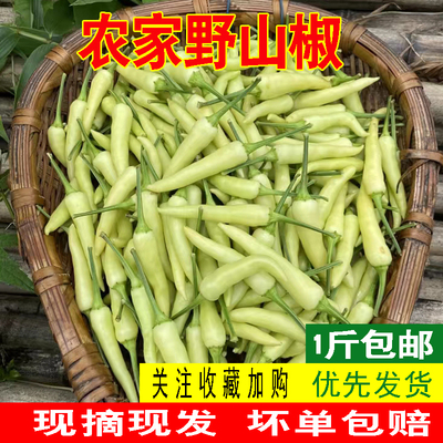 重庆发货香辣皱皮新鲜朝天椒白米椒小米椒农家泡椒原料野山椒包邮