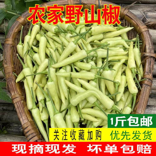 重庆发货香辣皱皮新鲜朝天椒白米椒小米椒农家泡椒原料野山椒包邮