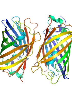 绿色荧光蛋白模型科研素材C4D 3D格式源文件热门高清素材技能模版