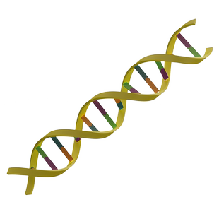 DNA生物化学秒发科研素材C4D 3D格式源文件热门高清素材技能模版