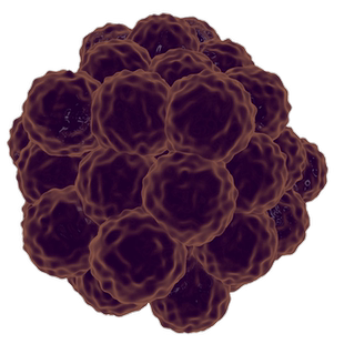 肿瘤团模型材料场景创意 生物科研素材C4D 3D格式源文件热门创意
