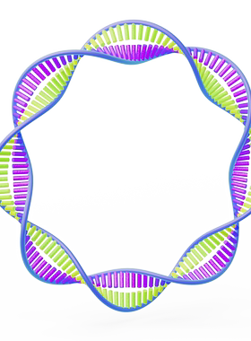 质粒环状DNA生物素材科研素材C4D 3D格式源文件热门高清素材模版