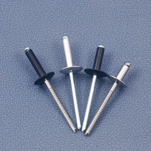 304不锈钢大帽抽芯铆钉大扁头