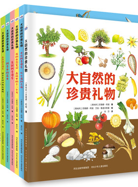 一幅幅美丽的彩色写实画面