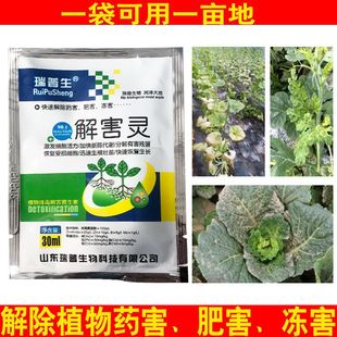 解害灵药害解药害冻害加快新陈代谢肥料肥害黄叶枯萎一喷绿激活液