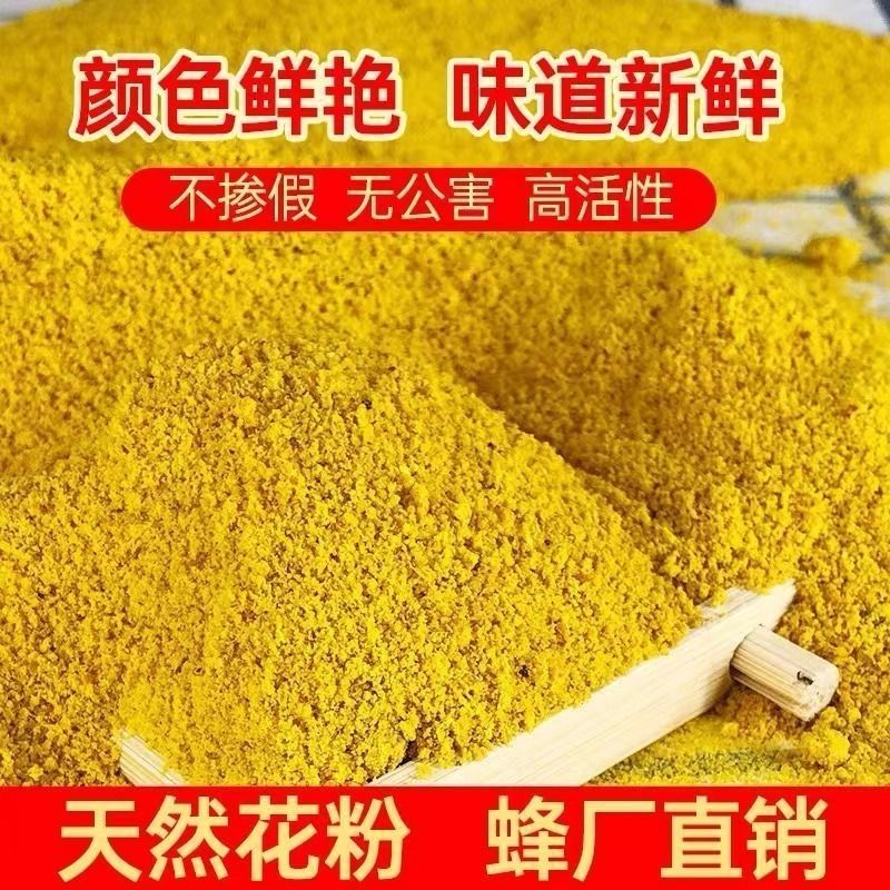 喂蜂养蜂专用油菜花粉中蜂蜜蜂蜂粮饲料青海天然油菜花粉沫纯粉末