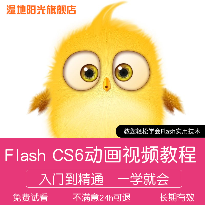ÔÚÏßFLASH