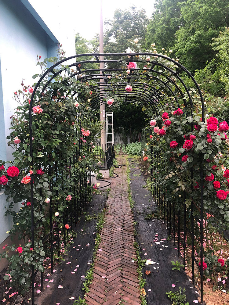 拱形花架种植箱攀缘藤架园艺架种植箱花卉箱植物藤架户外花盆支架