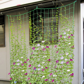 植物爬藤网月季 园艺黄瓜藤架百香果种植架子攀爬网格支架丝瓜架网