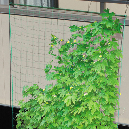 植物种菜爬藤网攀爬架网