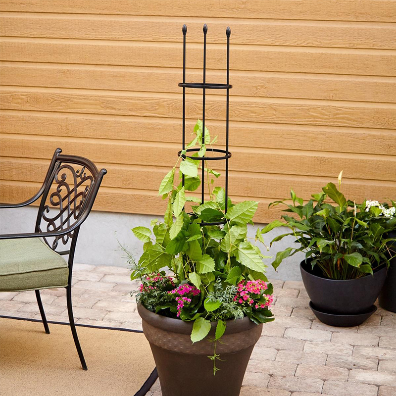 爬藤架花盆阳台铁线莲月季