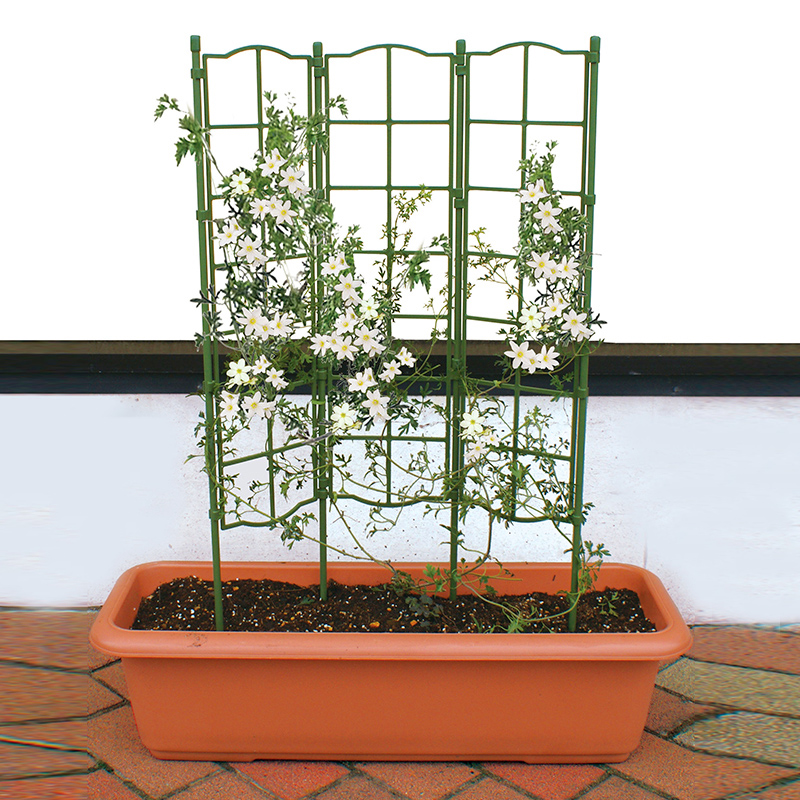 铁线莲花架GARDENHELPER/园之助