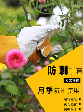 玫瑰花卉园艺防刺手套防穿刺花卉种植耐磨防穿刺花园玫瑰花卉刺防