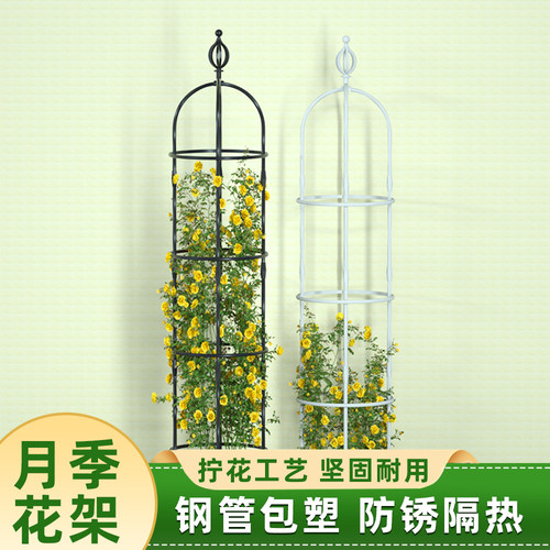 园之助月季爬藤架花架