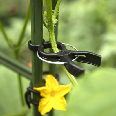 家用番茄植物固定夹子