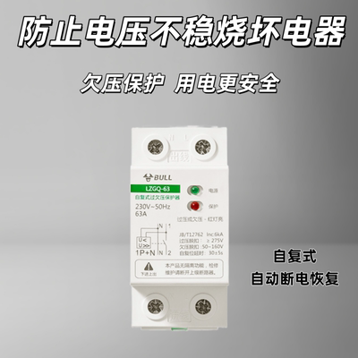 LZGQ-63自复式过压保护器