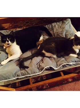 冬季专享宠物床实木吊床狗窝猫床窝中大型犬超保暖可拆洗沙发床