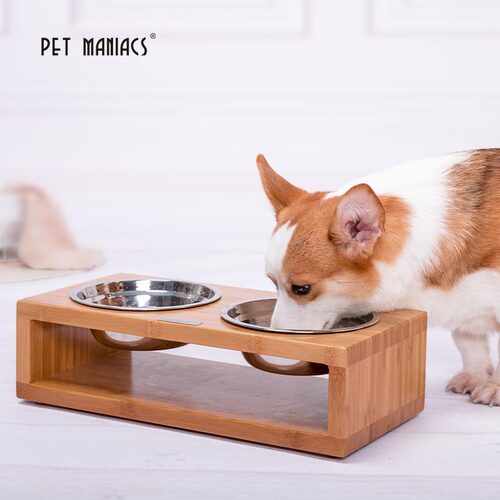 保护颈椎宠物用品猫碗