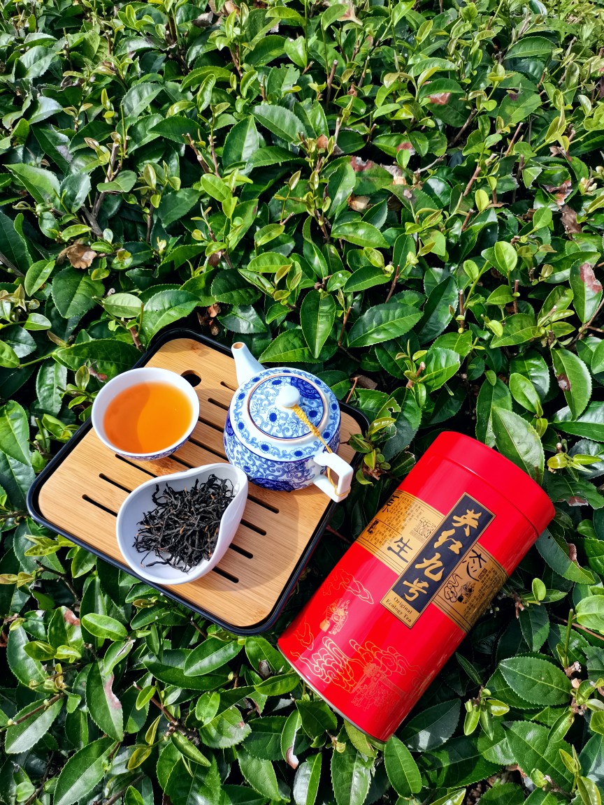 大沙茶 岗坪天露山 英红九号   150g罐装  浓香型花香味红茶