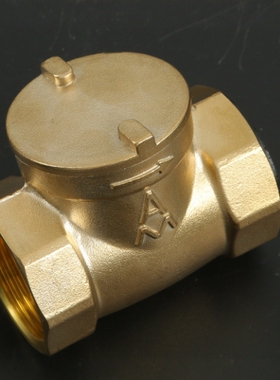 黄铜止回阀埃美柯H14W-16T螺纹连接自来水阀门开关家用4429多口径