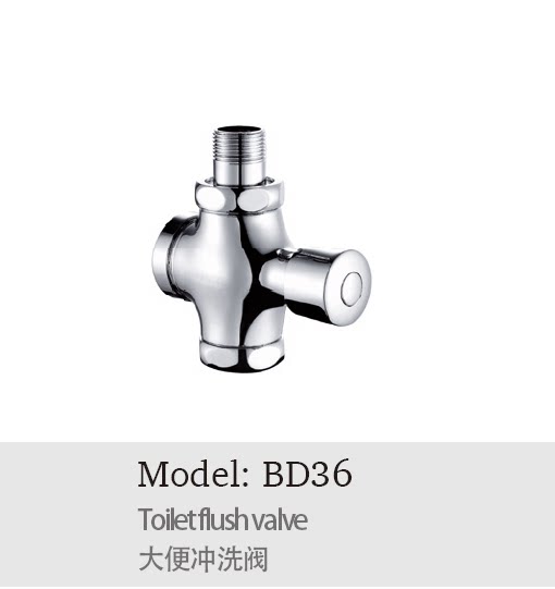 埃美柯大便冲洗阀全铜手按缓冲延时自闭冲洗阀bd36