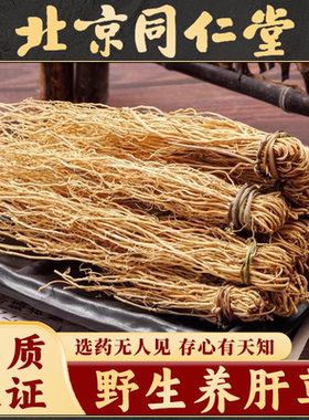 同仁堂广东野生养肝草丝线根护肝草龙须草养肝草汤包养肝金草煲汤