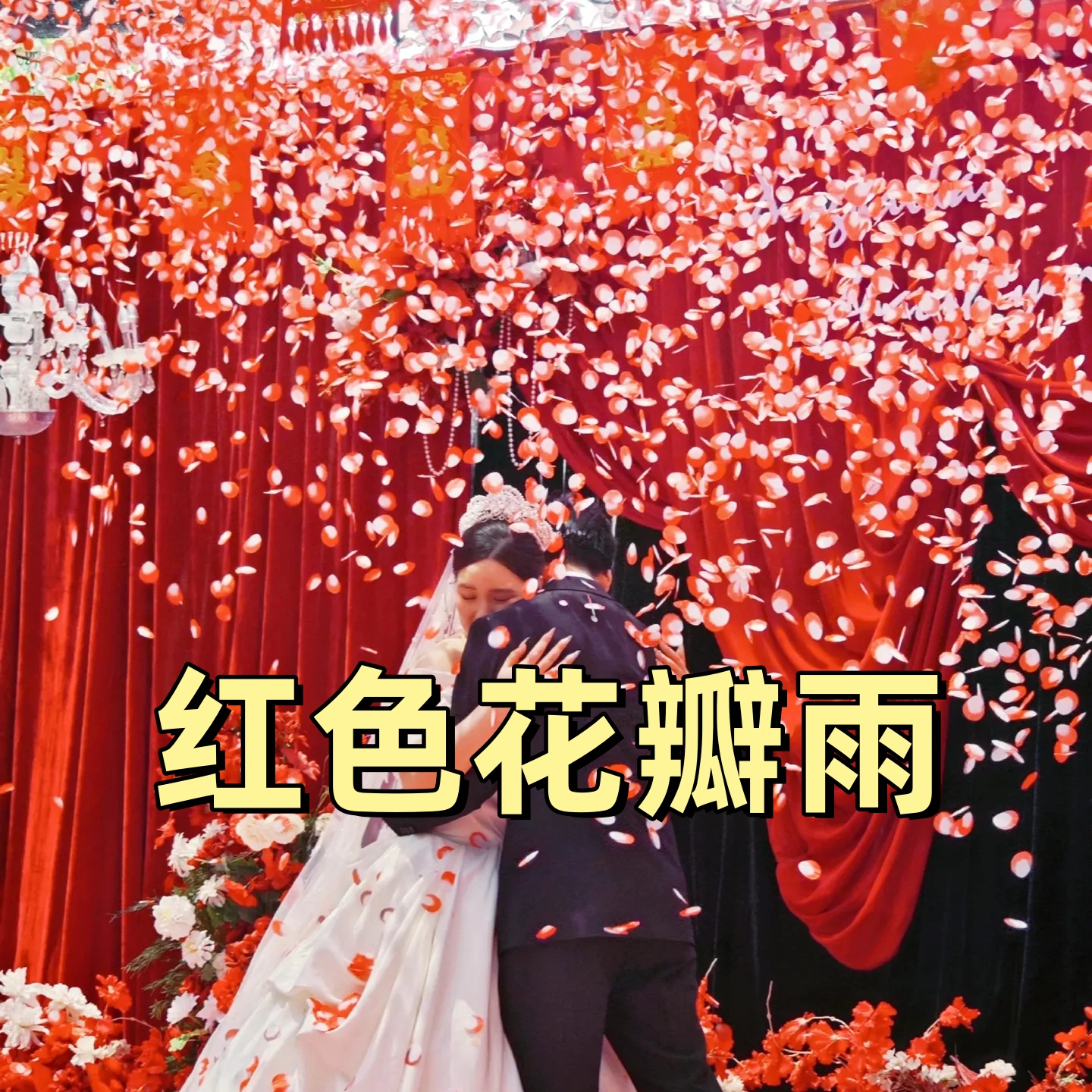 不掉色的花瓣雨《质量保证》安全