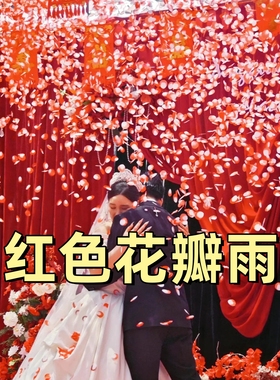 红色花瓣雨礼花筒结婚订婚婚礼花瓣手持礼炮直播生日聚会礼宾花