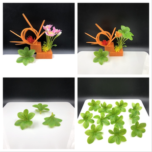 刺身菜品创意盆饰假花树叶仿真吊钟叶摆盆装饰3D绿植叶子diy假叶