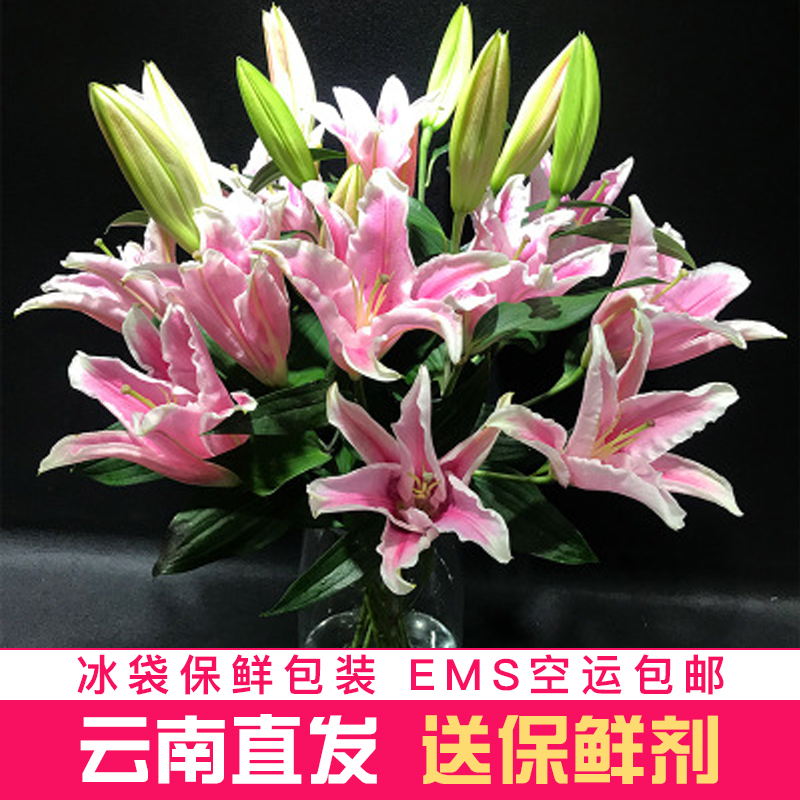 云南昆明基地直發香水百合花鮮花速遞包郵批發室內家用辦公室插花