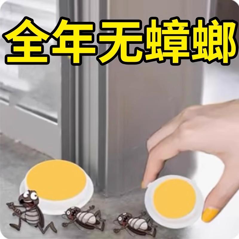 【蟑螂死光光】蟑螂家用室内厨房