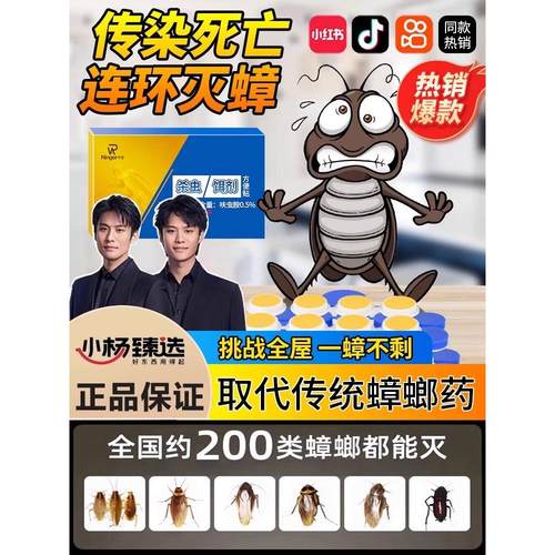 拜尔灭蟑螂药室内杀蟑饵剂全窝一窝端杀虫神器香熏魔盒家用杀虫剂