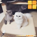 JPHEAT日本品牌地暖垫宠物猫狗小动物可用电热地毯取暖加热地暖垫