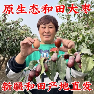 新疆特产和田大枣原生态未清洗带灰自然吊干红枣和田一级骏枣包邮