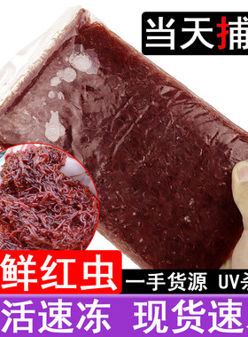 红虫冰冻水蚤冷冻红线虫冻赤虫血虫鱼粮金鱼食观赏鱼饲料小公虫