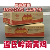 温氏清远鸡黄鸡整箱44斤新鲜冷冻整只黄皮白切走地麻鸡商用食材